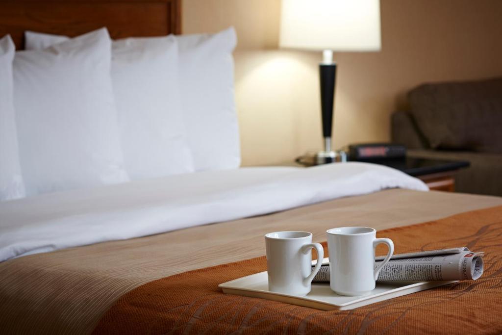 Quality Inn North Bay Pokój zdjęcie